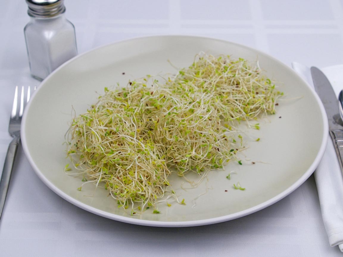 Calories in 56 grams of Alfalfa Sprouts