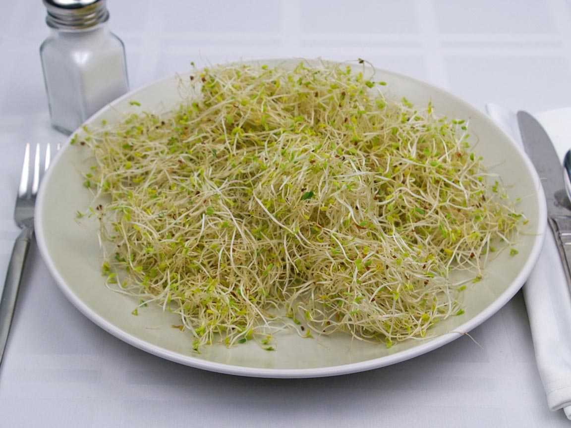 Calories in 113 grams of Alfalfa Sprouts