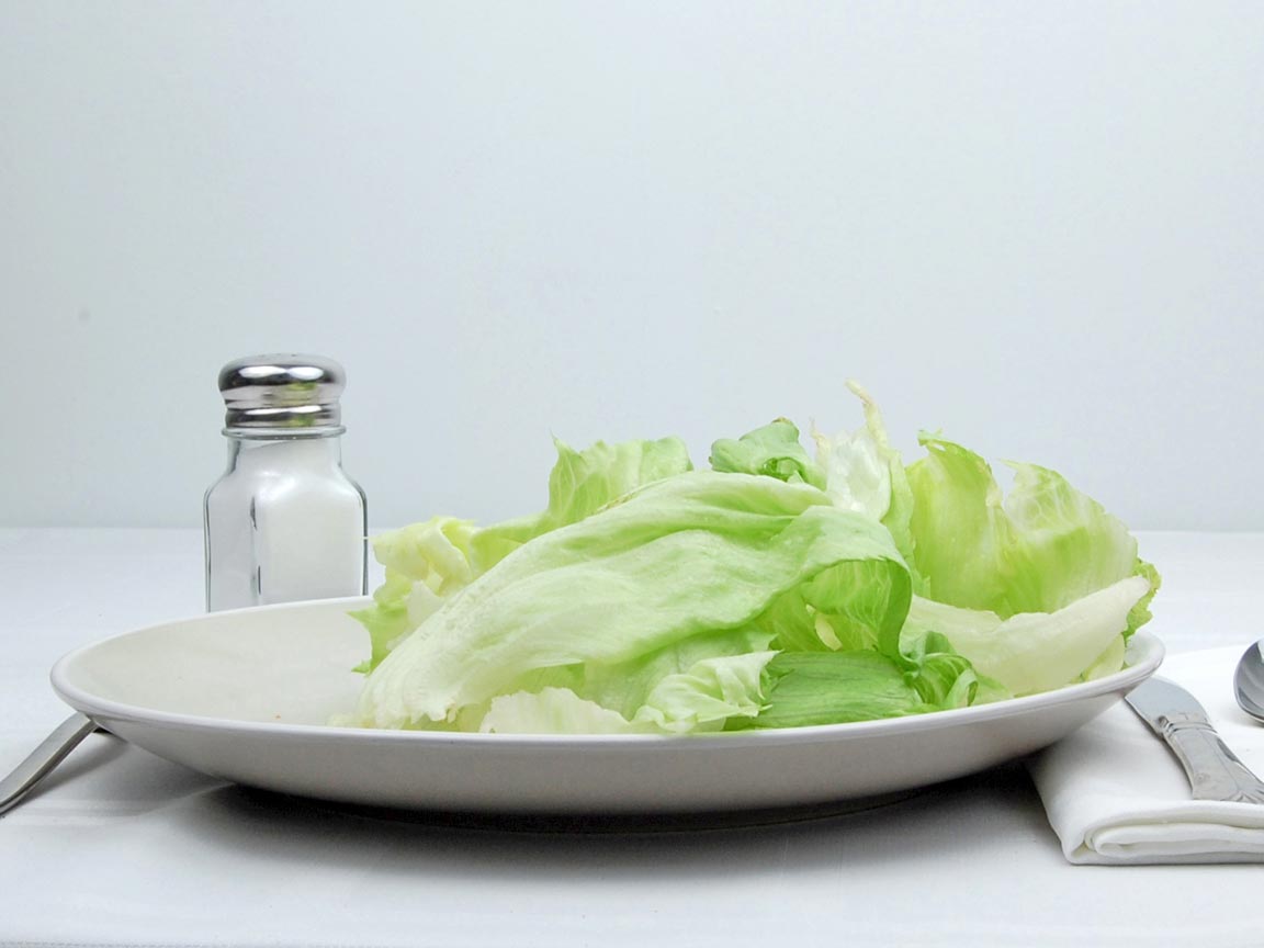 Calories in 85 grams of Iceberg Lettuce