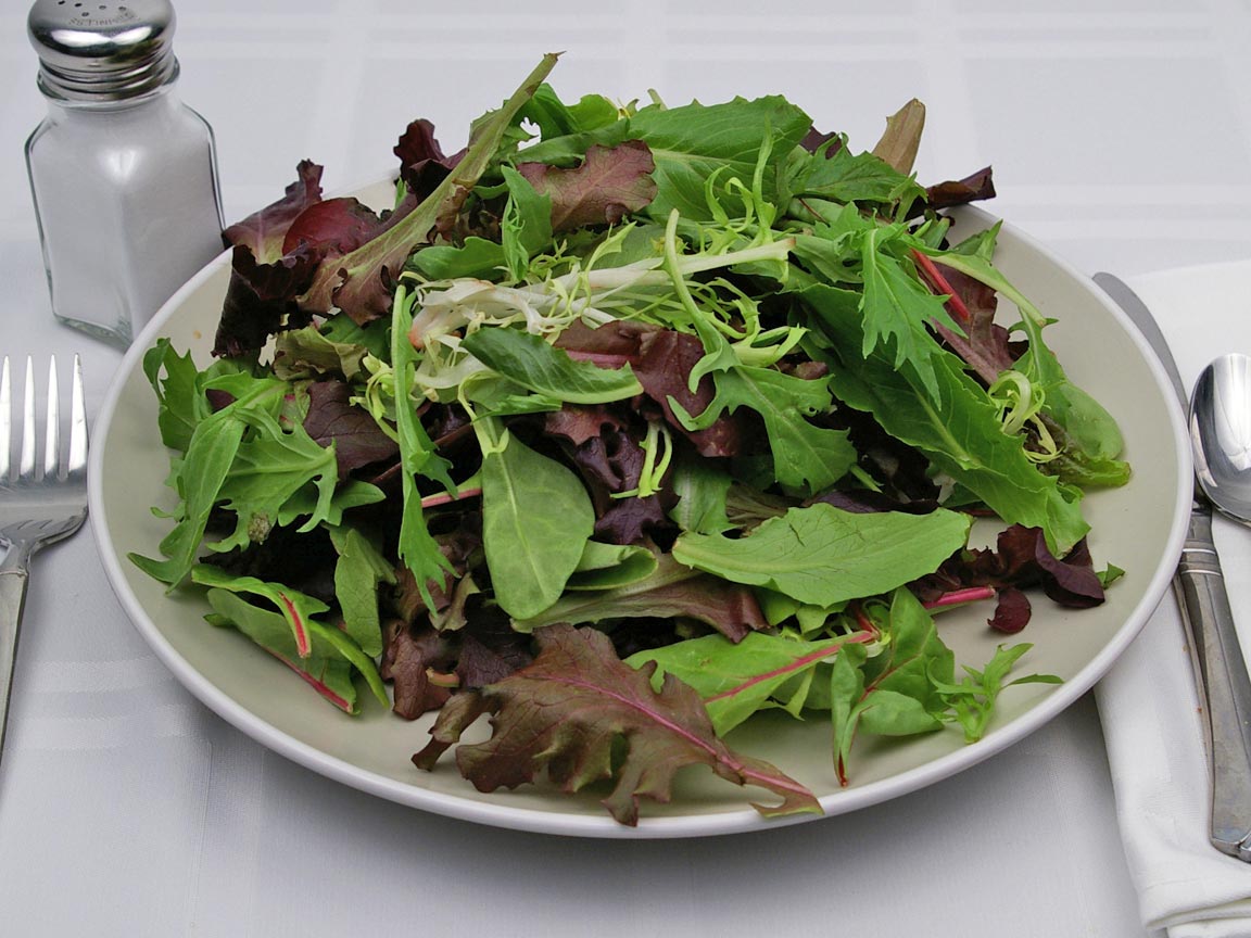 Calories in 170 grams of Salad Greens - Mixed Dark