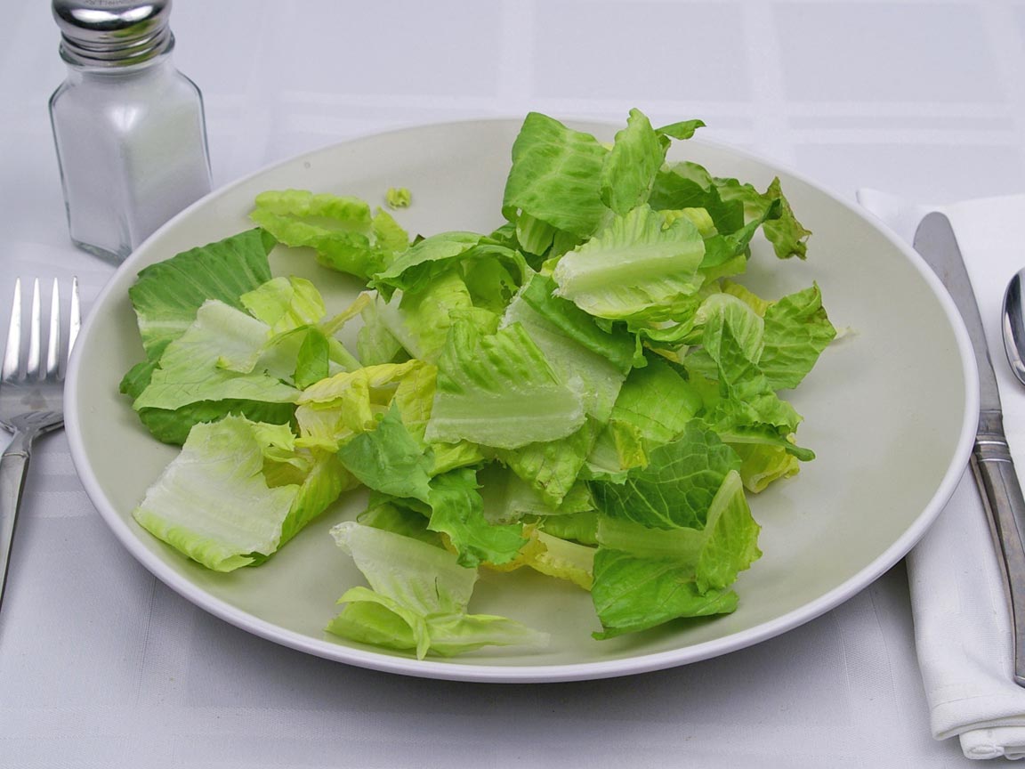 Calories in 113 grams of Romaine Lettuce