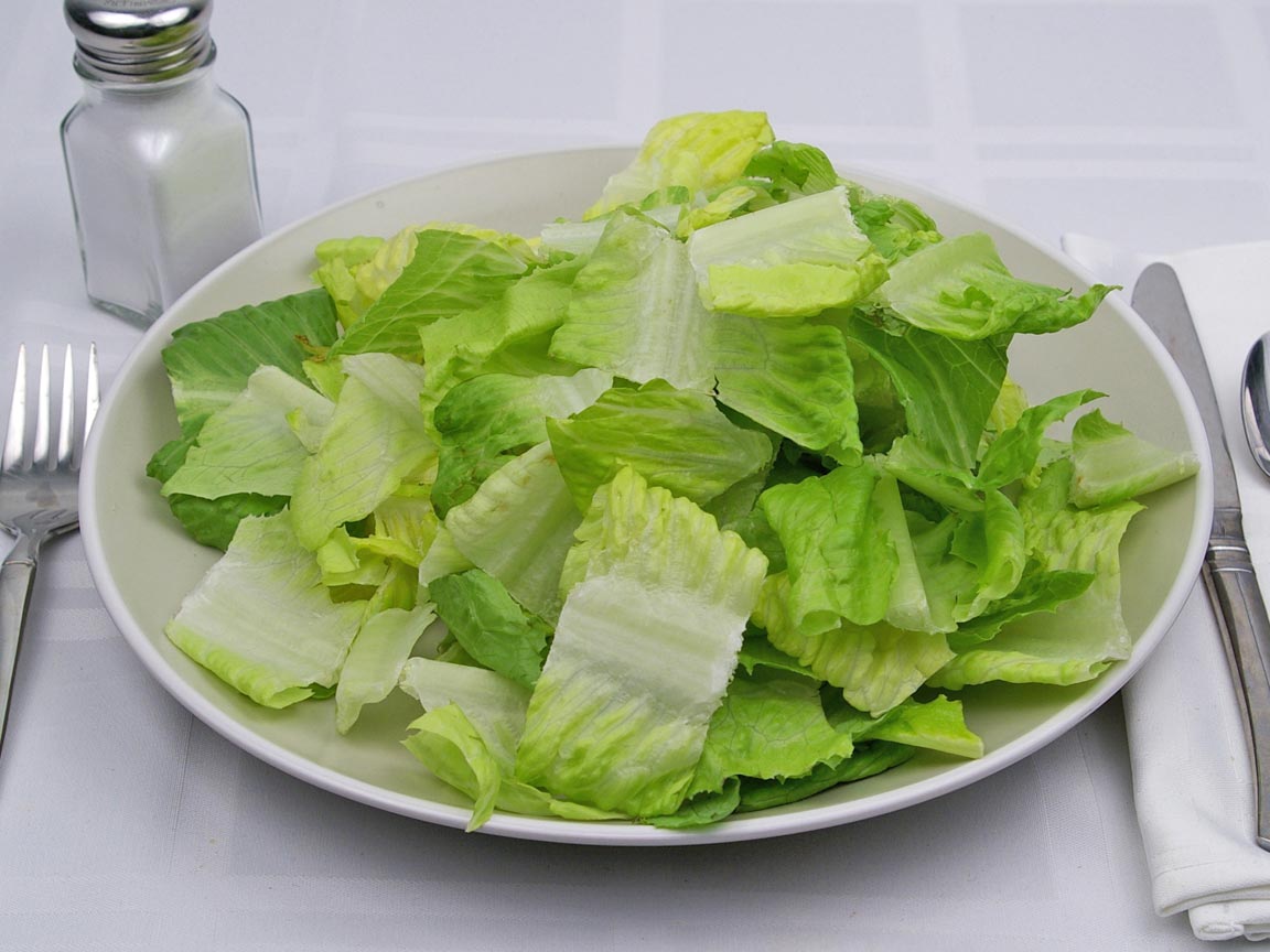 Calories in 198 grams of Romaine Lettuce