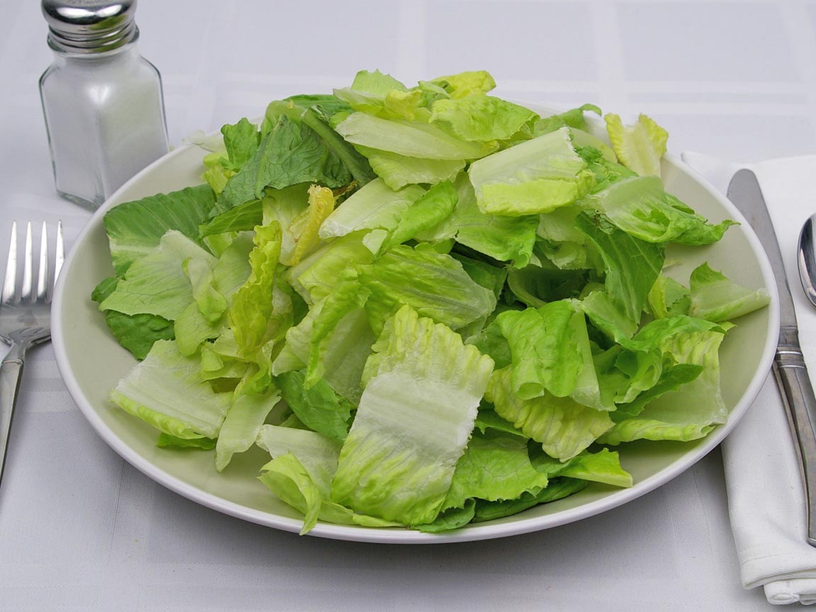 Calories in 226 grams of Romaine Lettuce